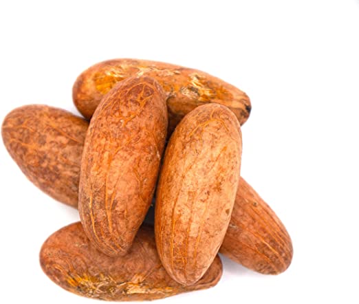 African Bitter Kola Nuts